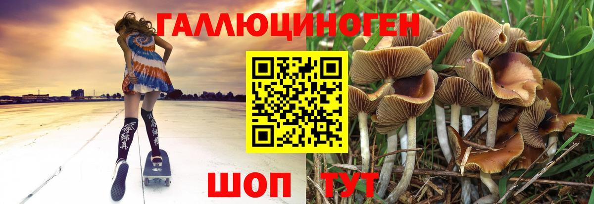 Галлюциногенные грибы GOLDEN TEACHER Сухой Лог
