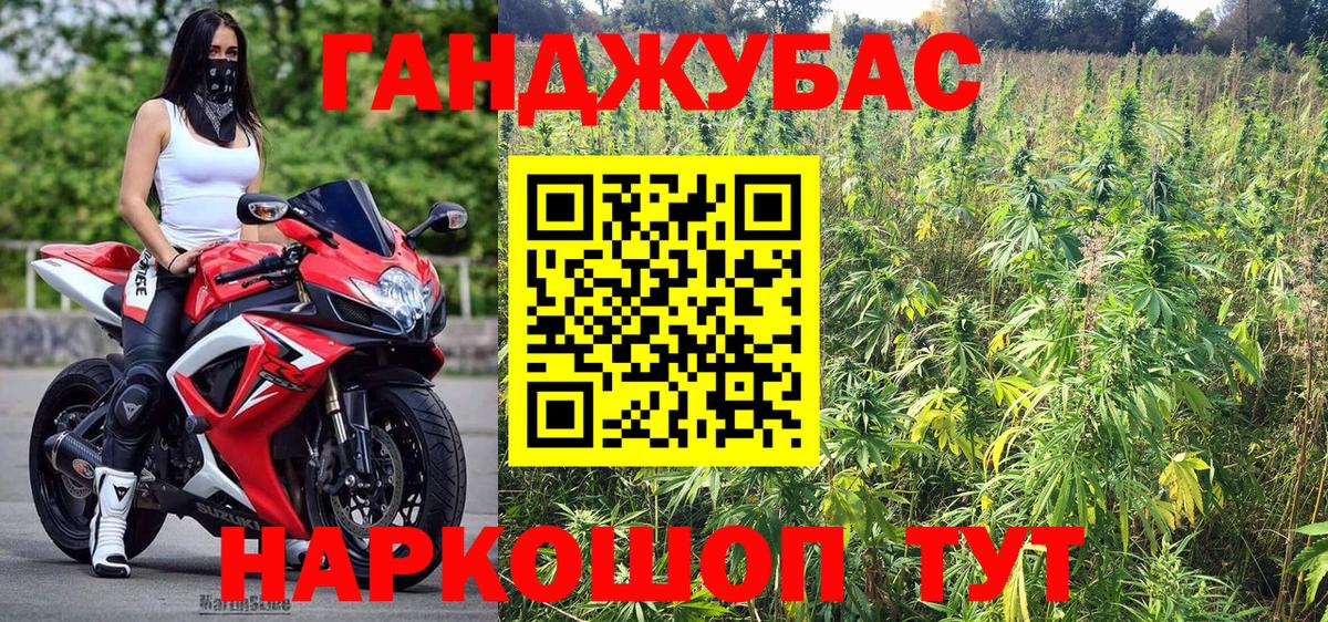 Канабис планчик Сухой Лог